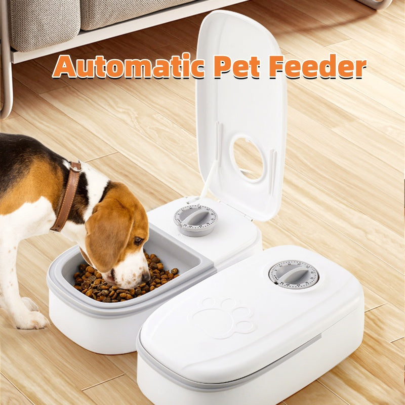 Food Dispenser: Food Feeder, Food Delivery